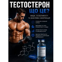 Тестостерон — що це? Види, особливості та важлива інформація